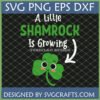 Cute St Patrick's Day Pregnancy Announcement SVG 'A Little Shamrock Is Growing' design with a smiling shamrock and arrow.