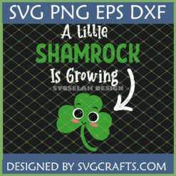 Cute St Patrick's Day Pregnancy Announcement SVG 'A Little Shamrock Is Growing' design with a smiling shamrock and arrow.