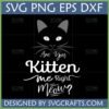 Are You Kitten Me Right Meow SVG Funny Cat Pun Design
