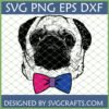 Bisexual Pug SVG and PNG design for crafting, featuring a black and white pug with a pink, purple, and blue bisexual pride bow tie.
