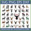 A collection of 48 diverse Christmas Reindeer SVG designs, including silhouettes, deer with holiday lights, and festive sayings.