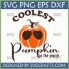 Coolest Pumpkin in the Patch SVG design with sunglasses, perfect for fall T-shirts and baby onesies.