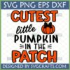Cutest Little Pumpkin SVG with orange pumpkin and bow for fall baby designs