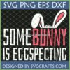 Funny Easter Pregnancy Announcement SVG design featuring bunny ears and the text 'Some Bunny is Eggspecting' in white and pink, on a dark green background with a mesh pattern.
