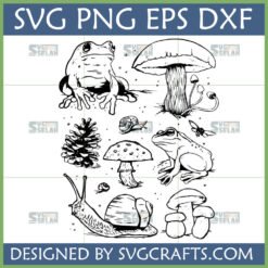 Woodland Animals SVG Bundle featuring hand-drawn frogs, mushrooms, snails, pine cone, and butterfly line art