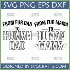 From Fur Dad to Human Dad SVG and From Fur Mama to Human Mama SVG bundle for pregnancy announcement