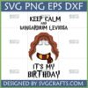 Wingardium Leviosa Birthday SVG design featuring Hermione Granger inspired character with a Gryffindor scarf for Cricut projects.