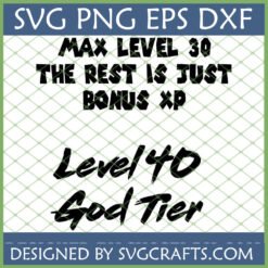 Level 30 40 God Tier SVG digital design for funny gamer birthday shirt