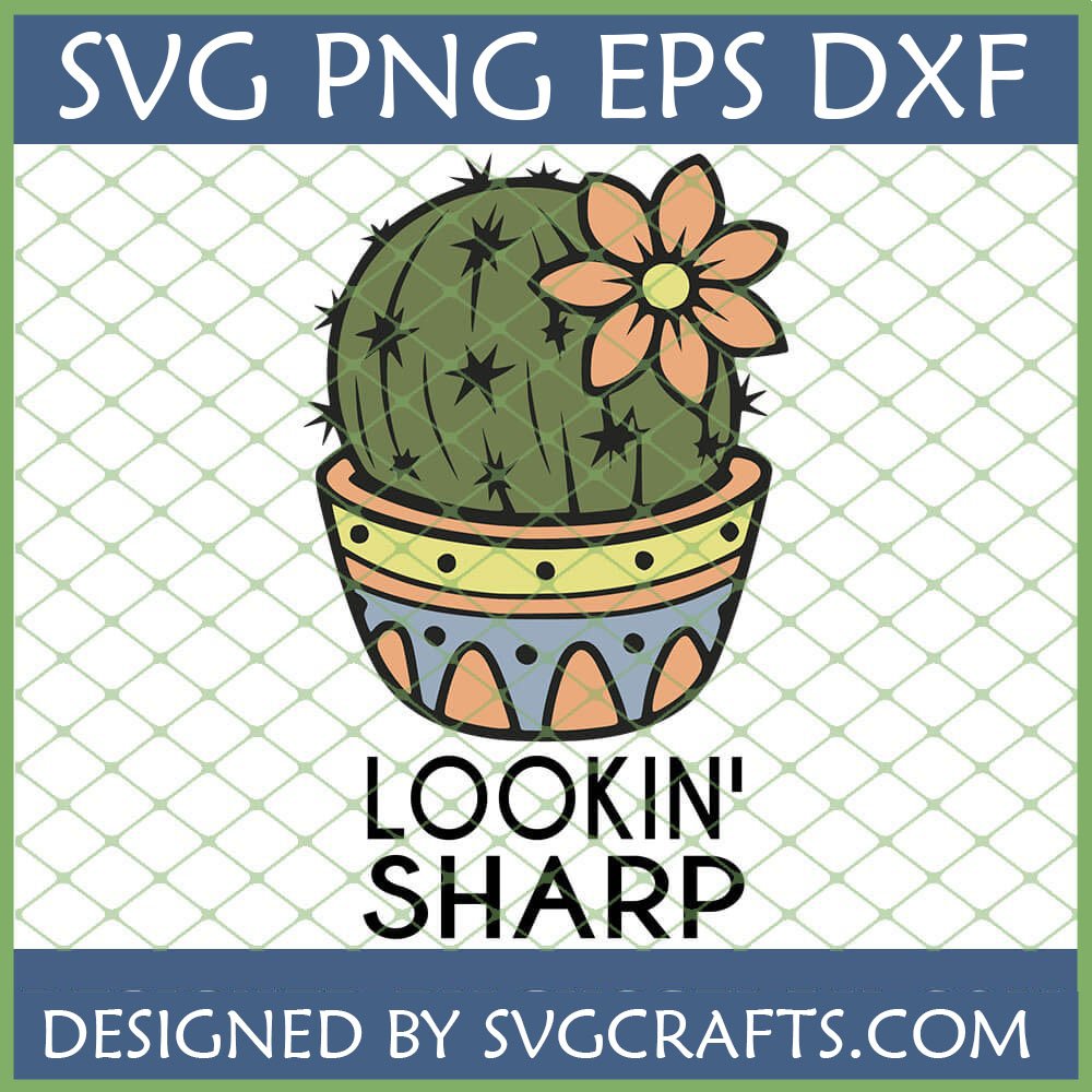 Lookin' Sharp Cactus SVG PNG DXF design for Cricut and Sublimation by SVGCrafts