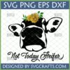 Funny Not Today Heifer Cow SVG with Sunflowers for Cricut projects