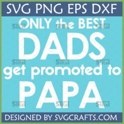Promoted to Papa SVG digital design for Father's Day and Grandfather announcements
