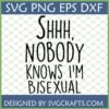 Funny 'Shhh Nobody Knows I'm Bisexual' SVG for Cricut and Silhouette projects