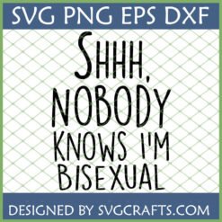 Funny 'Shhh Nobody Knows I'm Bisexual' SVG for Cricut and Silhouette projects
