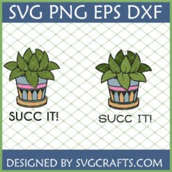 Two funny succulent plants in decorative pots with 'SUCC IT!' text, available as SVG, PNG, DXF, EPS files for Cricut crafting.