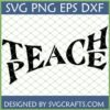 Bold 'Teach Peace' SVG design for Cricut and Silhouette projects, featuring black text on a white background with a subtle grid pattern.