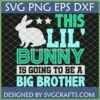 Big Brother Bunny Announcement SVG PNG DXF EPS digital file by SVGCrafts